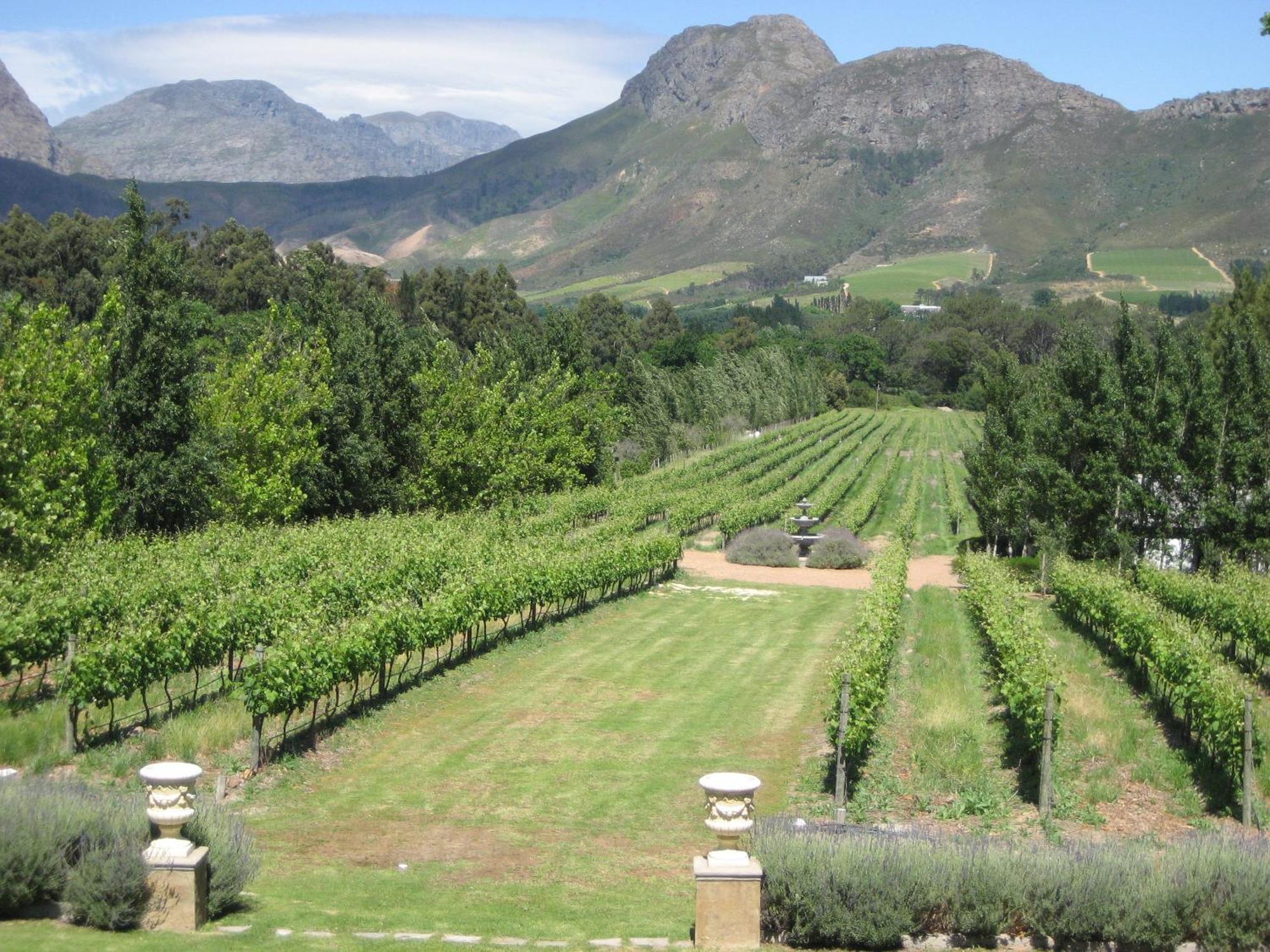 Franschhoek Rose Cottages Ngoại thất bức ảnh