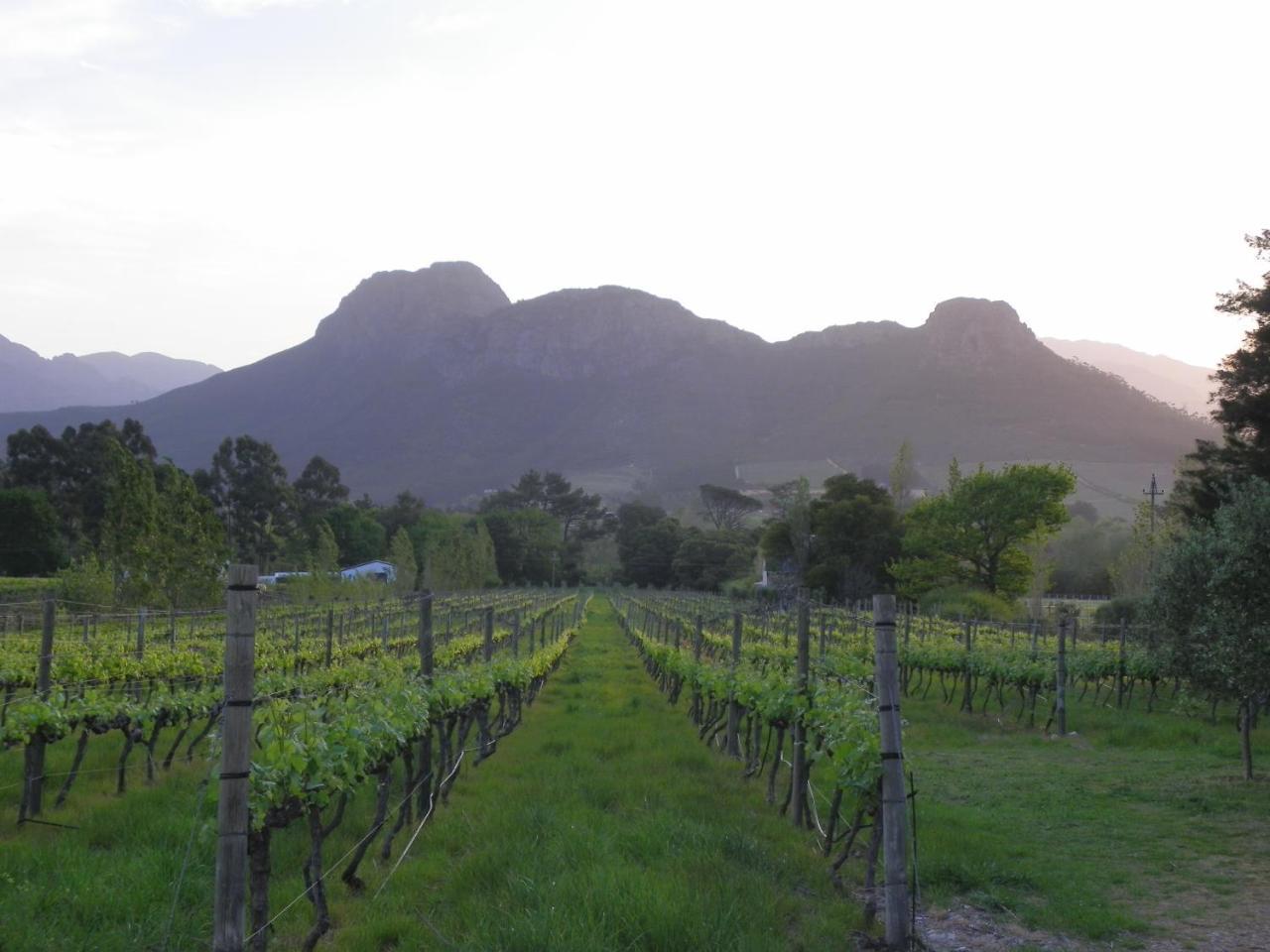 Franschhoek Rose Cottages Ngoại thất bức ảnh